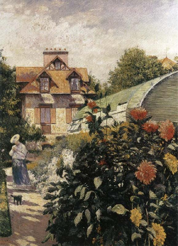 Gustave Caillebotte Big Chrysanthemum in the garden China oil painting art
